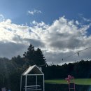 어썸스테이 | [제주 태교여행] 애견동반숙소 어썸스테이