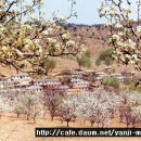 연길농장 이미지