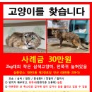 대현1동제2경로당 이미지