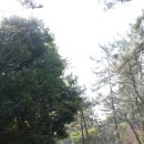 그리하오 이미지