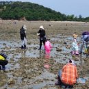 흘곶어촌체험휴양마을 이미지