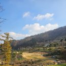 일레븐CC | 충주 골프장 일레븐CC 바람 잘 날 없는 골프 라운딩 후기