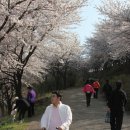 강변운동장제방 이미지