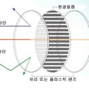 더베이직안경원 이미지
