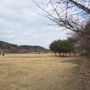 개미골프 연습장 이미지