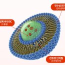 더편한온누리약국 이미지