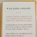 [ 스페로스페라 ] 크레이프케이크 ; 럭키 밀크 크레이프 케이크 / 카카오톡 선물하기