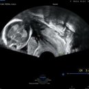 김건우 산부인과의원 이미지