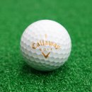 캘러웨이(Callaway) 이미지