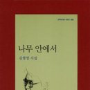 나무안에서 이미지