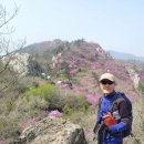 작천 | 강진 주작산 진달래산행(오소재~주작산휴양림)