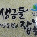 생금들 이미지