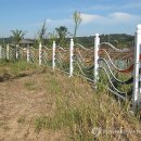 황토클리닉타운 이미지