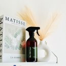 참진바이오 | 강아지 집 냄새 제거 끝판왕 참진바이오EM케어 편백 탈취제 후기 (편백수 피톤치드 스프레이 추천)