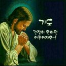 둘자네 이미지