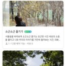 그린다실