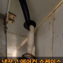 사리가스 이미지