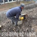 자동차부품공장(아파트형공장) | 공장주변 나무벌목