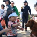 쓰담쓰담해줄개 이미지