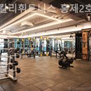 스타칼리 휘트니스 이미지