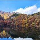 구봉산 티스토리