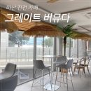 그레이트버뮤다 이미지