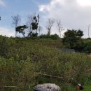 굿마루농장 이미지