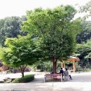 사기막골공원 이미지