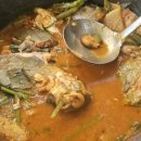 숲속장어 이미지