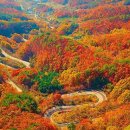 양곡리체험마을 이미지