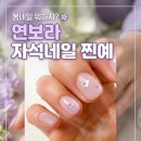 네일레쉬 | 용산 문배동 네일레쉬 봄네일 후기｜연보라 자석네일 추천