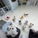 씻고놀개 이미지