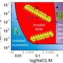 타우 카카오 검색결과