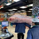 자연애마트축산 이미지