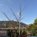 성수행정사사무소 이미지