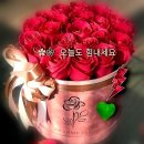 건강하세요
