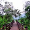 로하우스 이미지