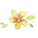 차한의원 이미지