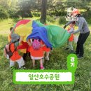 숲속곤충마을