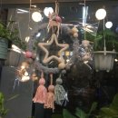 리앤트리 이미지