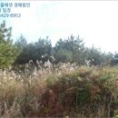 표선면 다목적회관 이미지