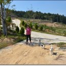 박선주농장 이미지