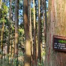 산성전통시장 이미지