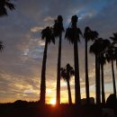 맑은아침 이미지