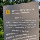 내가 만난 가장 아름다운 교회, 공세리성당