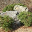 유가사길 이미지