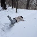 아카데미 치과기공소 이미지