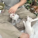 가창농협주유소 이미지