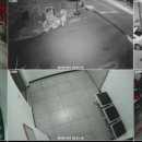 아림월드 이미지