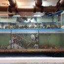 강진약국 이미지